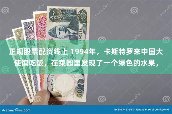 正规股票配资线上 1994年，卡斯特罗来中国大使馆吃饭，在菜园里发现了一个绿色的水果，