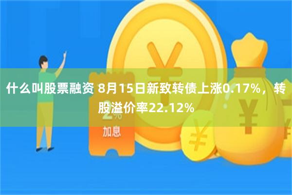 什么叫股票融资 8月15日新致转债上涨0.17%，转股溢价率22.12%