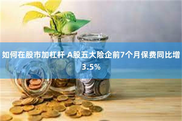 如何在股市加杠杆 A股五大险企前7个月保费同比增3.5%