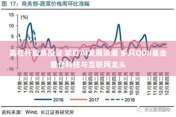 高杠杆股票投资 紧盯AI发展浪潮 多只QDII基金重仓科技与互联网龙头