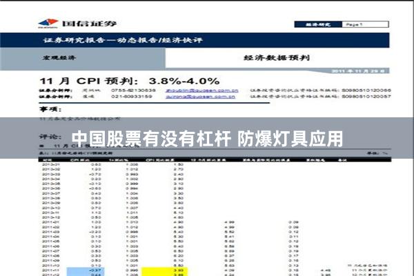 中国股票有没有杠杆 防爆灯具应用