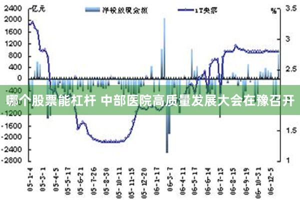 哪个股票能杠杆 中部医院高质量发展大会在豫召开