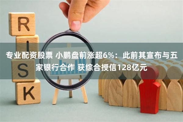 专业配资股票 小鹏盘前涨超6%：此前其宣布与五家银行合作 获综合授信128亿元