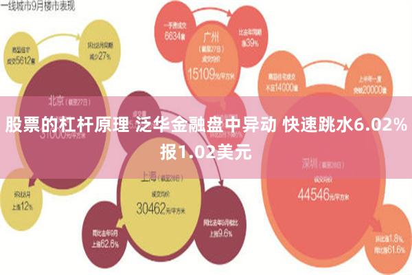 股票的杠杆原理 泛华金融盘中异动 快速跳水6.02%报1.02美元