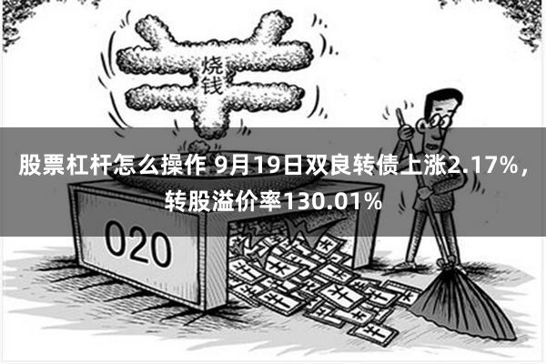 股票杠杆怎么操作 9月19日双良转债上涨2.17%，转股溢价率130.01%