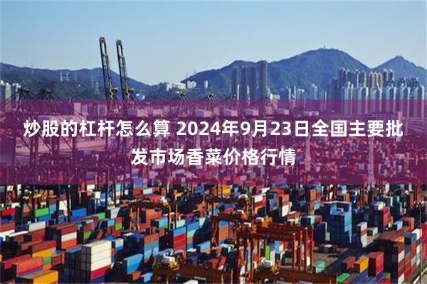 炒股的杠杆怎么算 2024年9月23日全国主要批发市场香菜价格行情