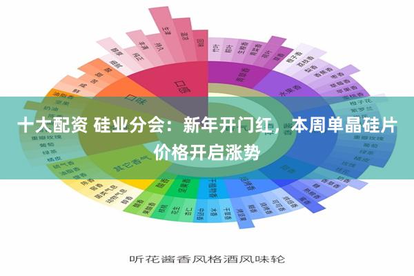 十大配资 硅业分会：新年开门红，本周单晶硅片价格开启涨势