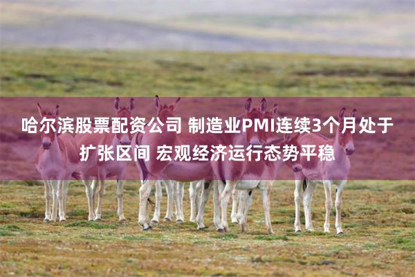 哈尔滨股票配资公司 制造业PMI连续3个月处于扩张区间 宏观经济运行态势平稳