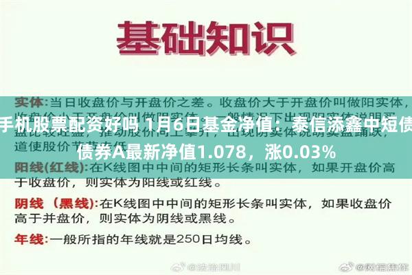 手机股票配资好吗 1月6日基金净值：泰信添鑫中短债债券A最新净值1.078，涨0.03%