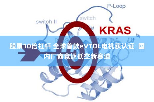 股票10倍杠杆 全球首款eVTOL电机获认证  国内厂商竞逐低空新赛道