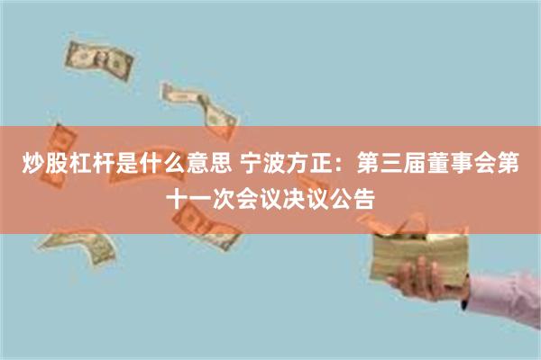 炒股杠杆是什么意思 宁波方正：第三届董事会第十一次会议决议公告