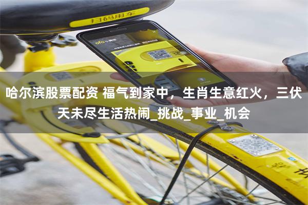 哈尔滨股票配资 福气到家中，生肖生意红火，三伏天未尽生活热闹_挑战_事业_机会